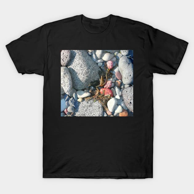 Rocks and Seaweed stilllife T-Shirt by rozmcq